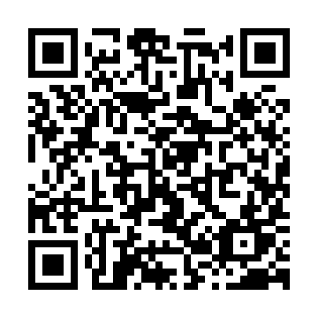 QR code for plate X29-89T