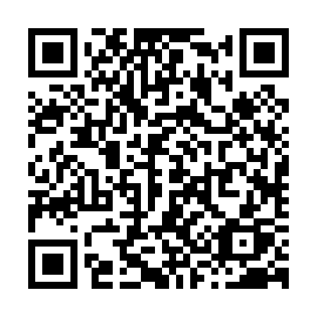 QR code for X3203P