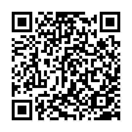 QR code for X3638P