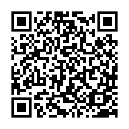 QR code for X38-24Q