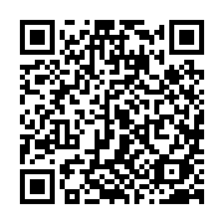 QR code for X38-29I