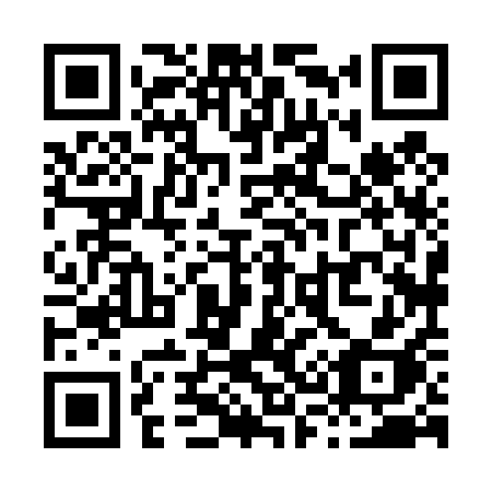 QR code for X38-41H