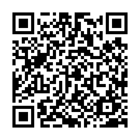 QR code for X38-62T