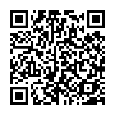 QR code for X38-67H