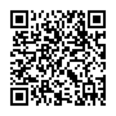 QR code for X38-95B