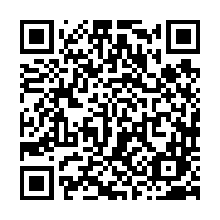 QR code for plate X38-64L