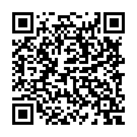 QR code for X3889V