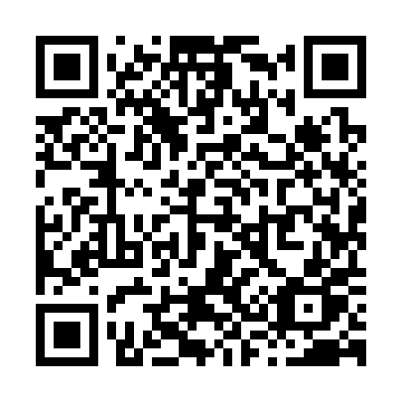 QR code for X3930P