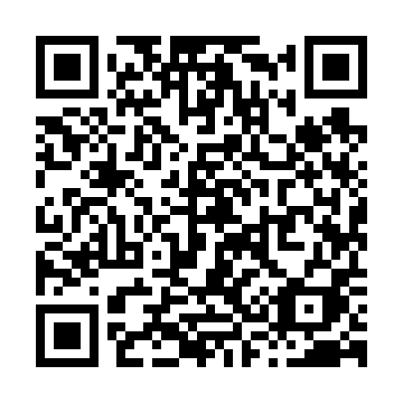 QR code for X3960I