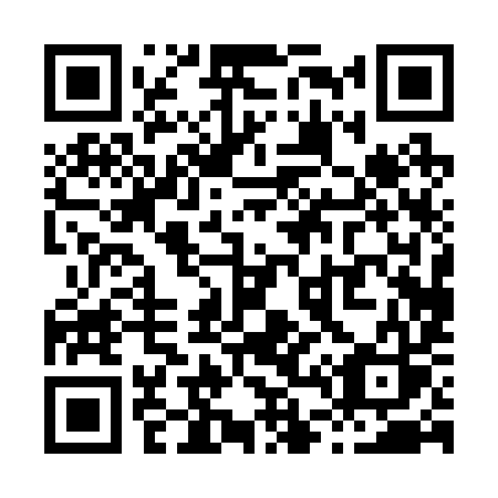 QR code for X4029S