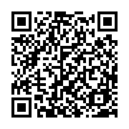 QR code for plate X40-76E