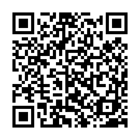 QR code for X41-46I