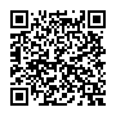 QR code for X41-51P