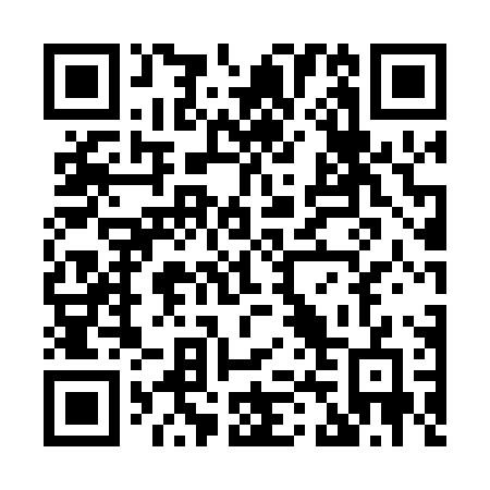 QR code for X4500G