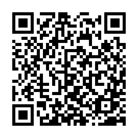 QR code for X4534S