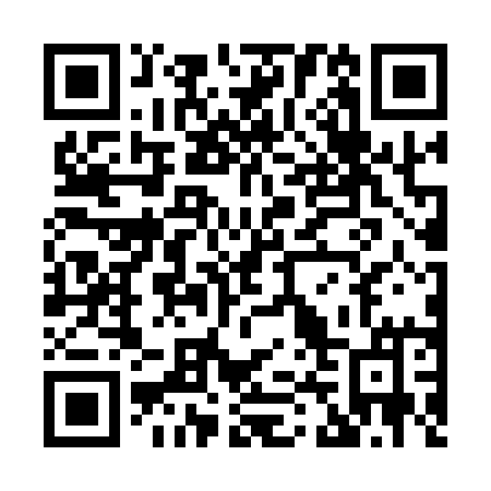 QR code for X46-11M