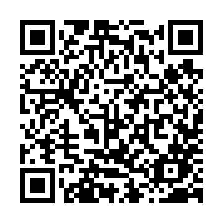 QR code for X4668N