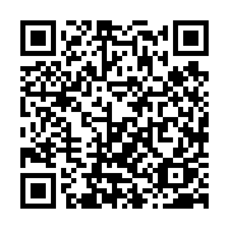 QR code for X48-61P