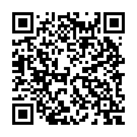 QR code for plate X48-29I