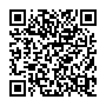 QR code for plate X51-06H