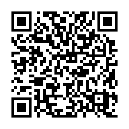 QR code for plate X51-38Y