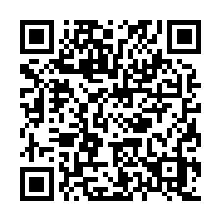 QR code for X53-80Z