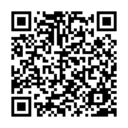 QR code for X5313G
