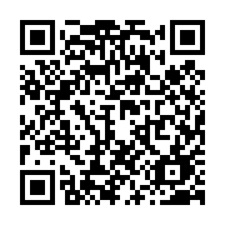 QR code for X55-41D