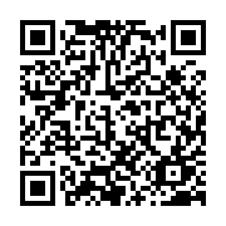 QR code for X55-91T