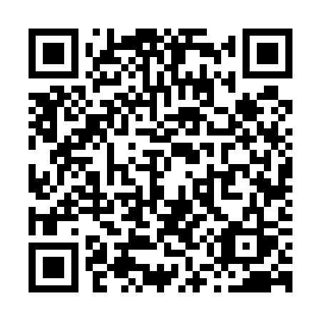QR code for plate X56-53S