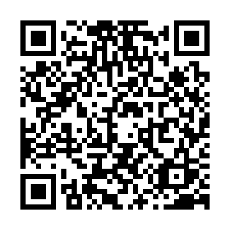 QR code for X5733S