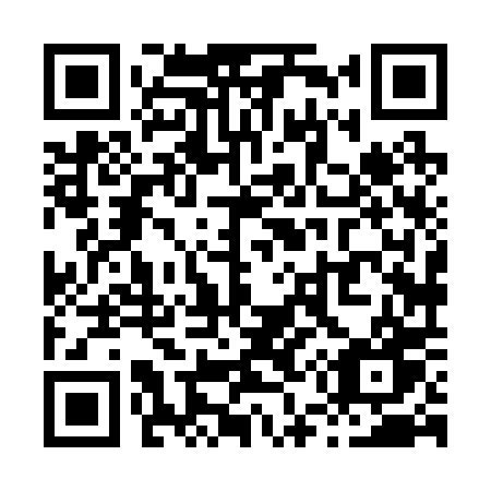 QR code for plate X58-20W
