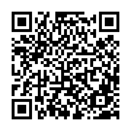 QR code for X60-46V