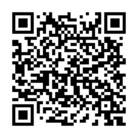 QR code for plate X60-50N
