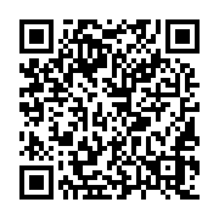 QR code for X65-95Z