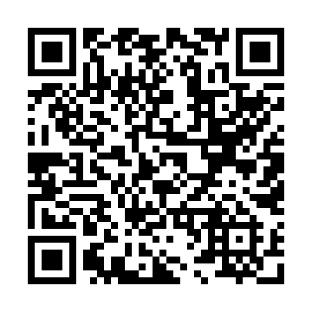 QR code for X6529I