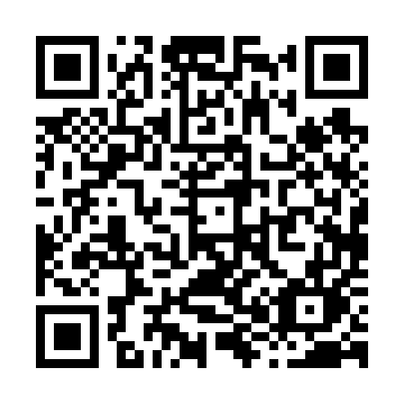 QR code for X80-65L