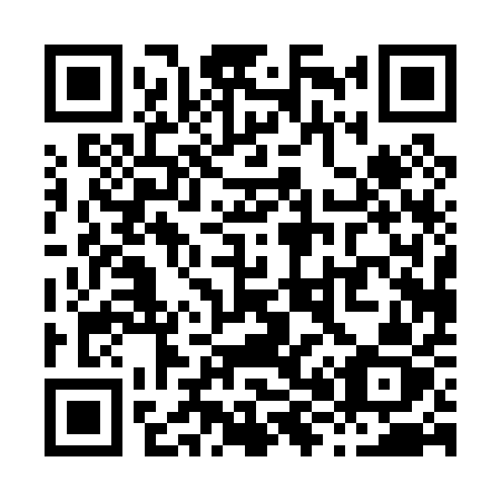 QR code for X8001Z