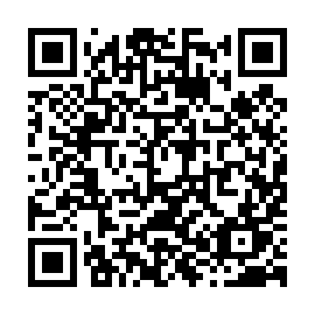 QR code for X81-49T