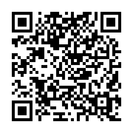 QR code for plate X81-95M