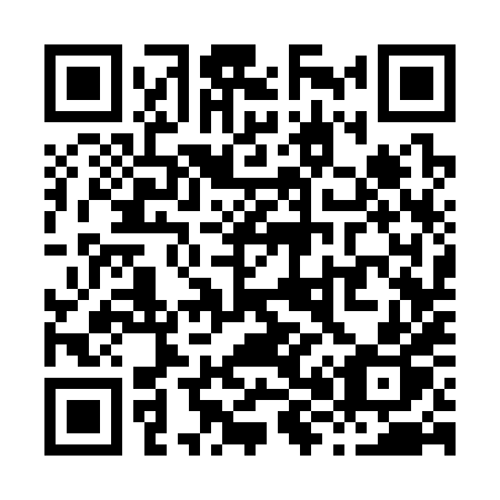 QR code for X83-38P