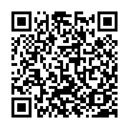 QR code for X8509P