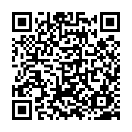QR code for plate X86-53N