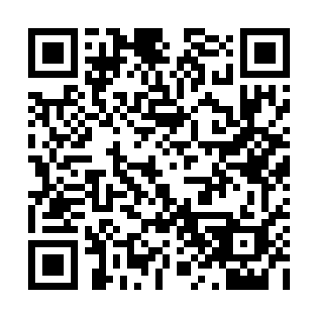 QR code for X8677I
