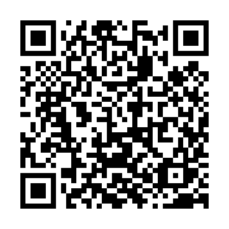 QR code for X89-49S