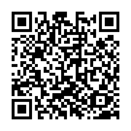 QR code for X8953Z