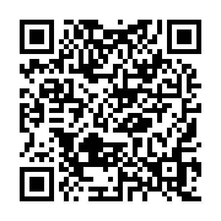 QR code for X8991N