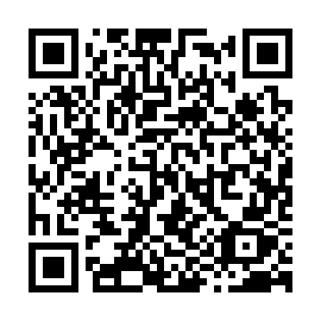 QR code for X9137Z