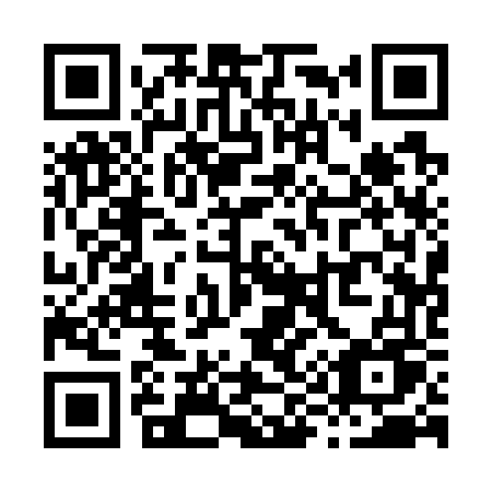 QR code for plate X91-76U