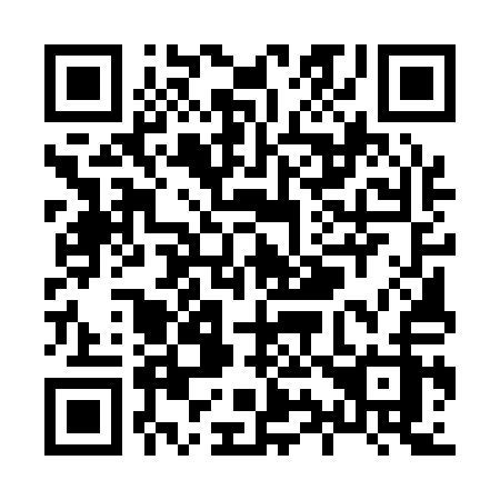 QR code for X95-11Z